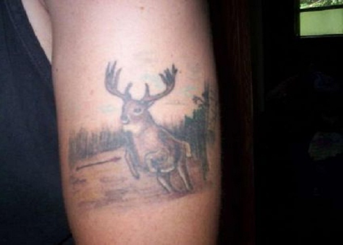 Amazing Grey Deer Tattoo On Bicep