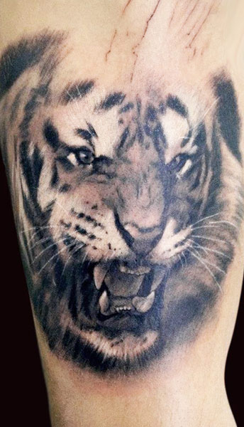 Angry Black And Grey Tiger Head Tattoo