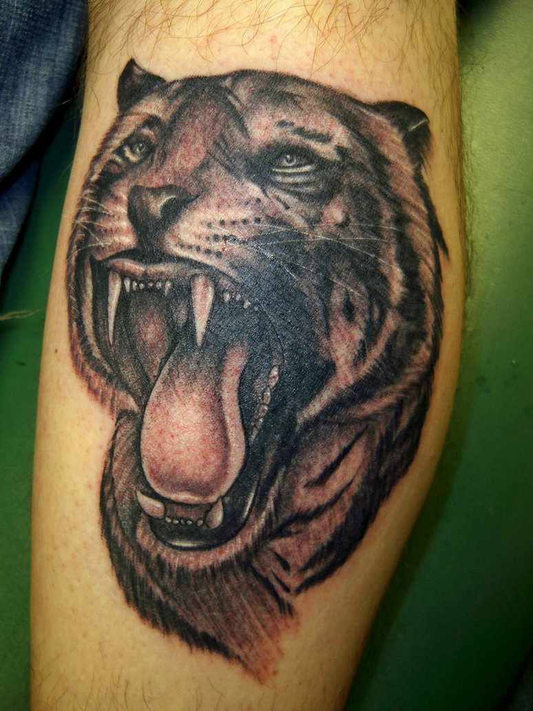 Angry Black And Grey Tiger Tattoo On Leg