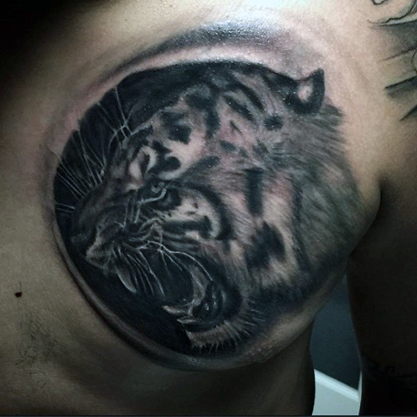 Angry Grey And Black Tiger Tattoo On Chest
