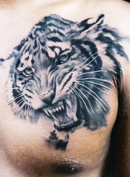 Angry Tiger Face Tattoo On Man Chest