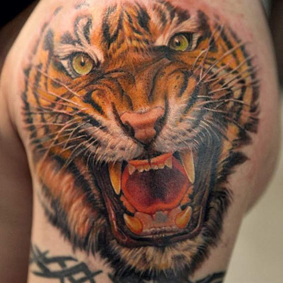 Angry Tiger Face Tattoo On Shoulder
