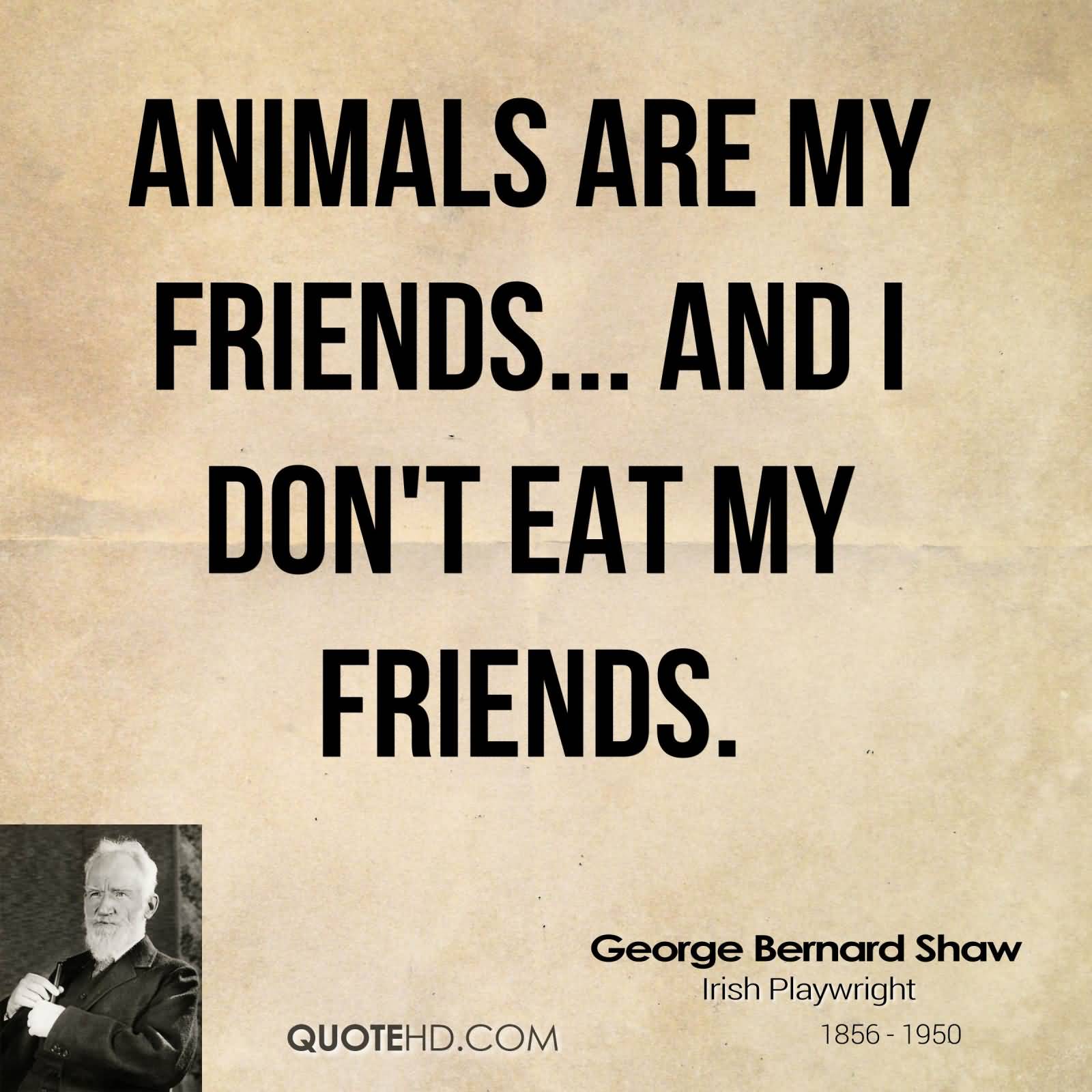 Animals are my friends.. And i don’t eat my friends. George Bernard Shaw