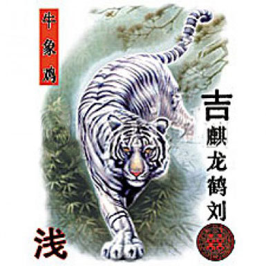 Asian White Tiger Tattoo Design