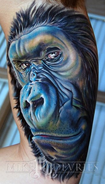 Attractive 3D Gorilla Head Tattoo On Right Bicep By Mike Devries