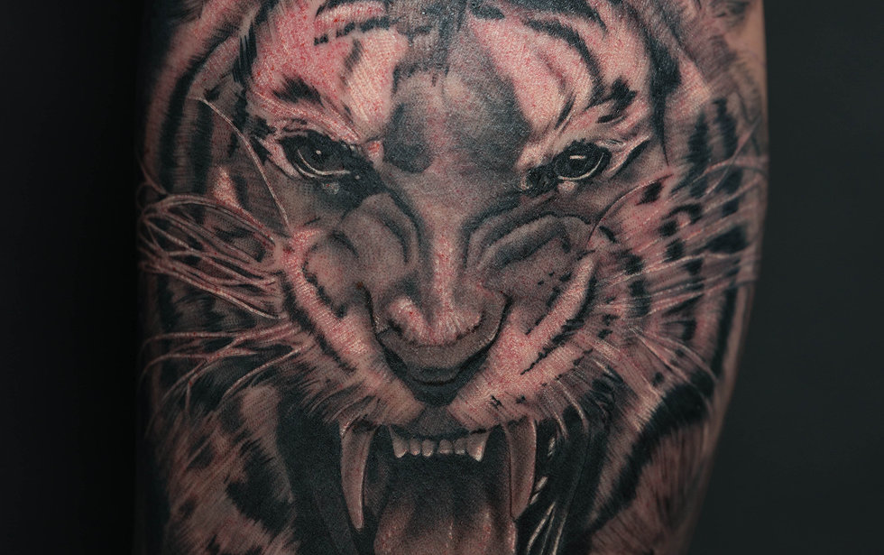 Awesome Black And Grey Tiger Tattoos Ideas