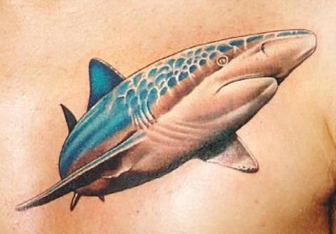 Awesome Tiger Shark Tattoo Design For Men