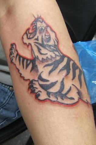Baby White Tiger Tattoo On Arm