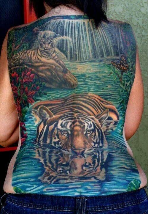 Beautiful Japanese Tigers In Waterfall Tattoo On Full Back