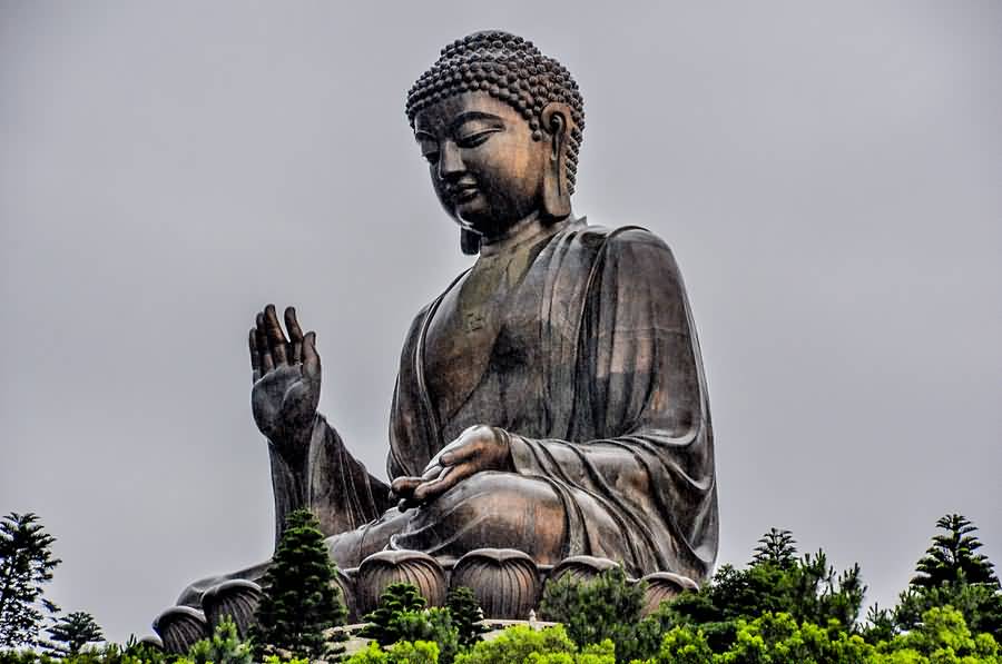 Beautiful Side View Of Tian Tan Buddha Statue