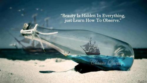 Beauty is hidden in everything, just learn how to observe
