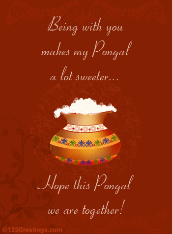 Being With You Makes My Pongal A Lot Sweeter Hope This Pongal We Are Together