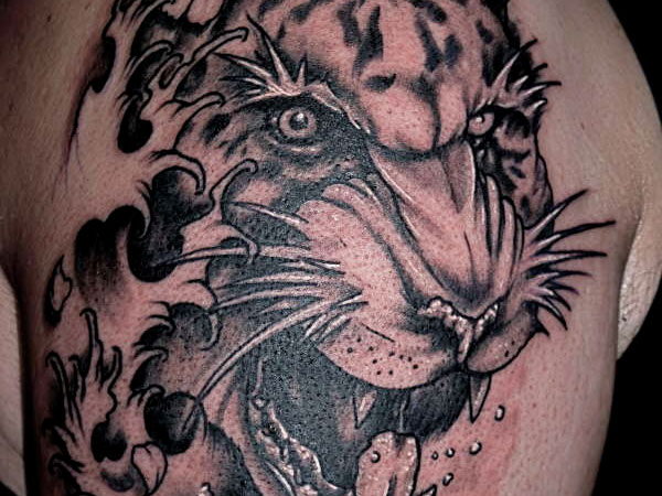 Black And Grey Angry Tiger Head Tattoo On Shoulder