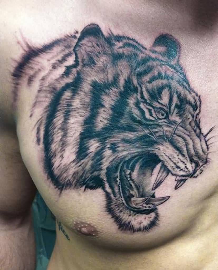 Black And Grey Angry Tiger Tattoo On Chest