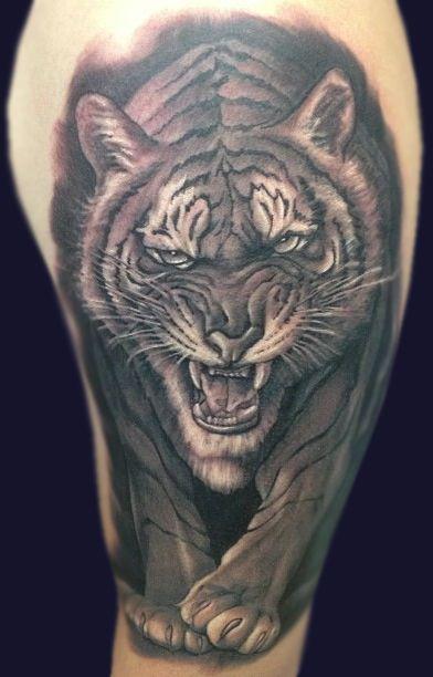 Black And Grey Angry Tiger Tattoo On Half Sleeve