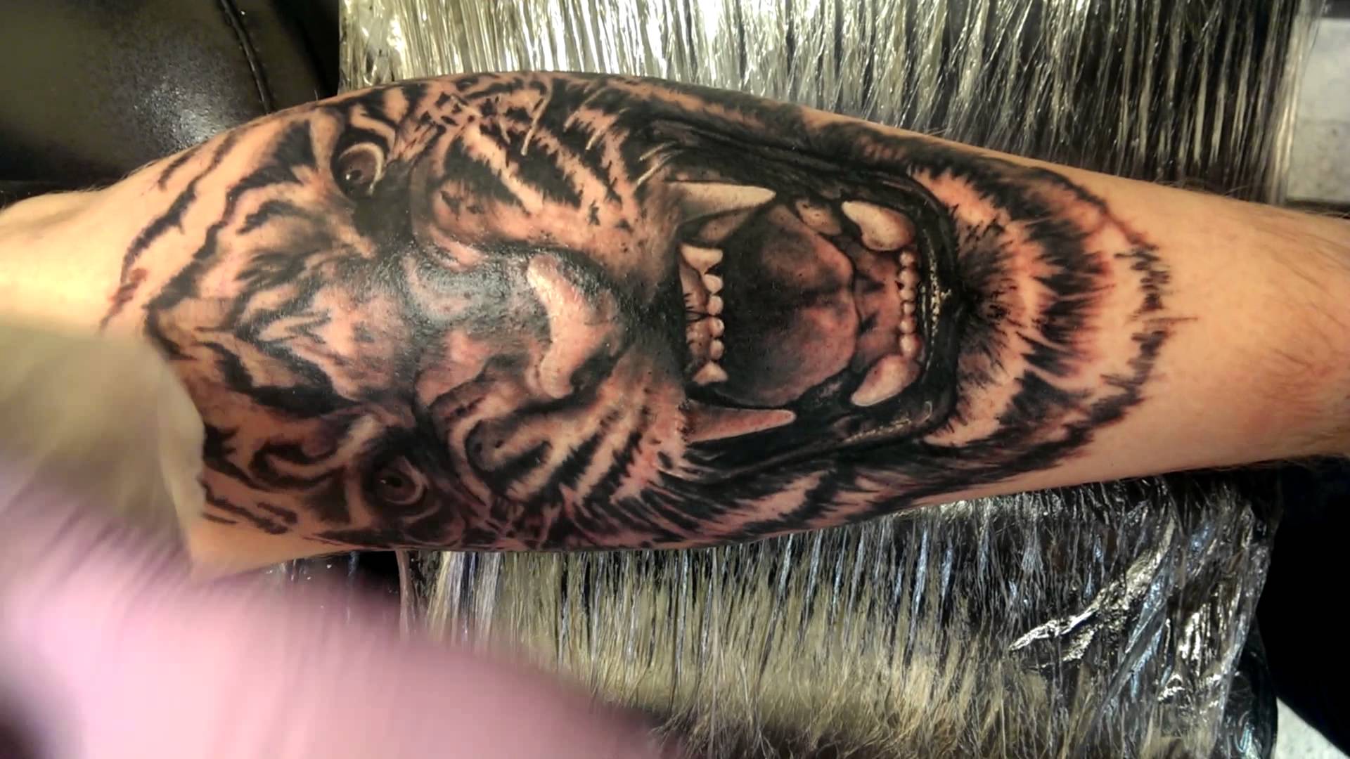 Black And Grey Angry Tiger Tattoo On Leg