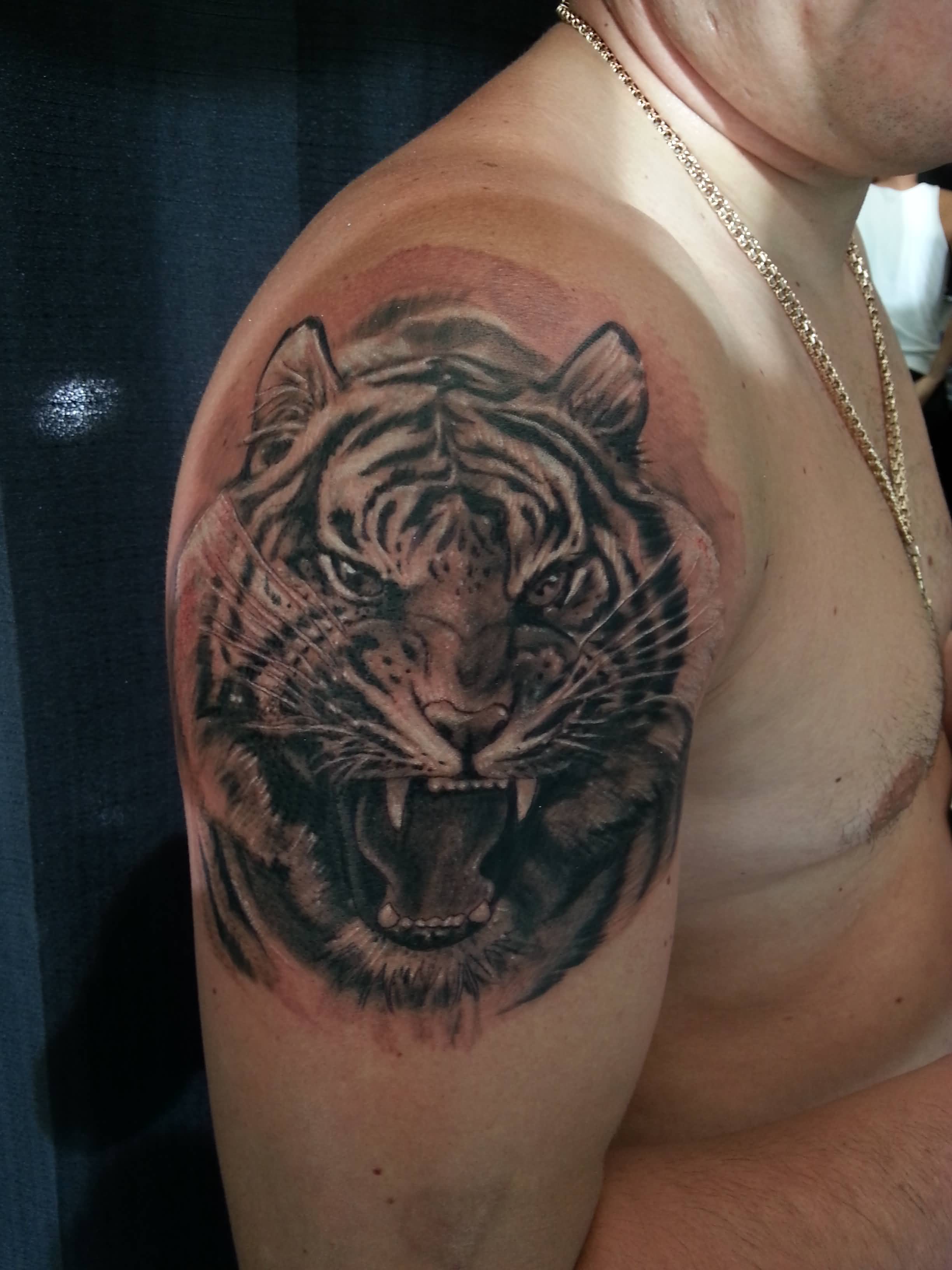 Black And Grey Angry Tiger Tattoo On Man Shoulder