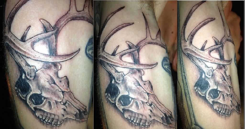 Black And Grey Deer Skull Tattoo On Arm