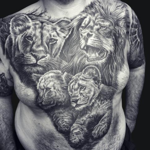 Black And Grey Lion Family Tattoo On Man Chest And Belly By Mike Devries