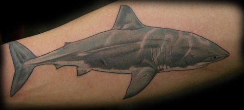 Black And Grey Shark Tattoo Design For Sleeve