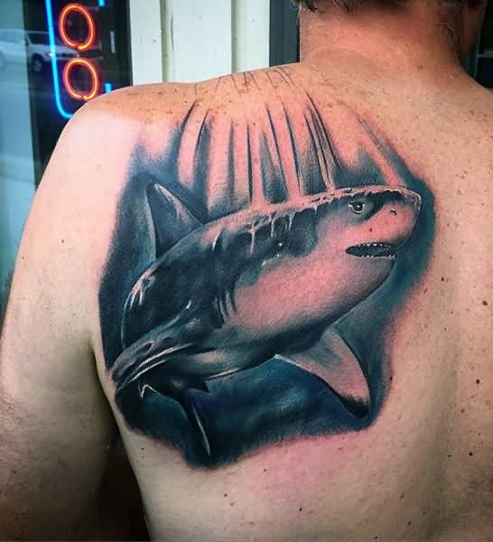 Black And Grey Shark Tattoo On Man Left Back Shoulder