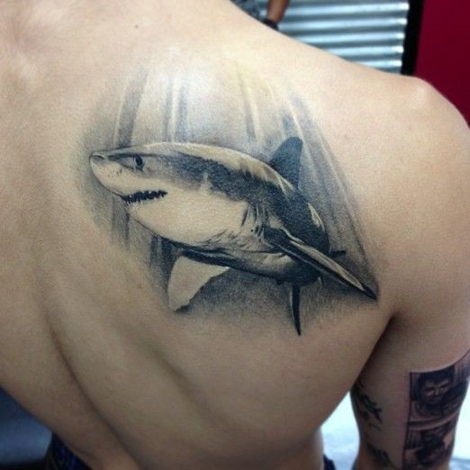 Black And Grey Shark Tattoo On Right Back Shoulder