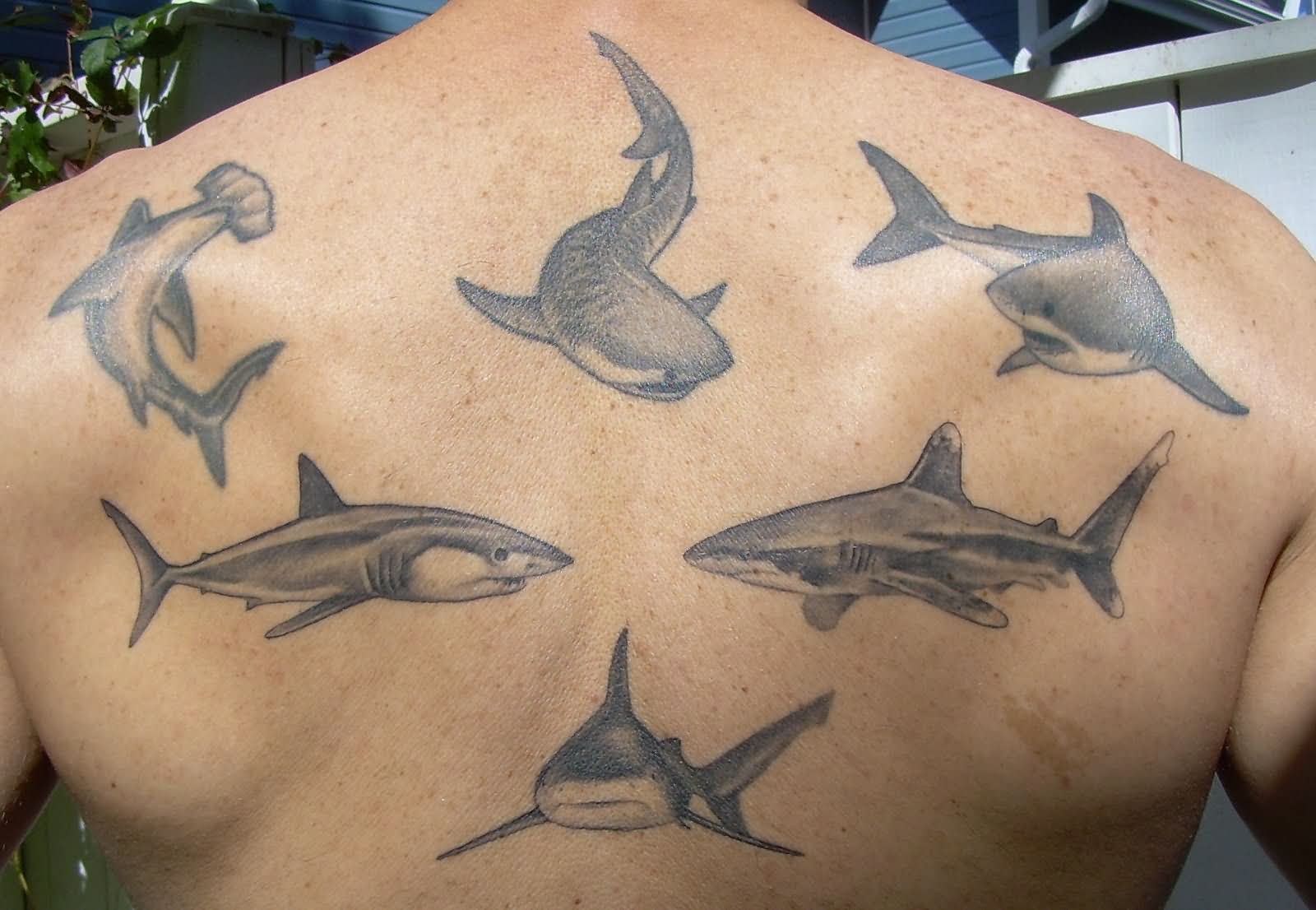Black And Grey Sharks Tattoo On Man Upper Back