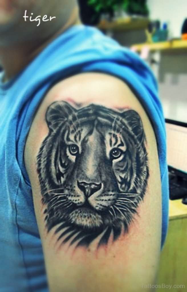 Black And Grey Tiger Face Tattoo On Shoulder