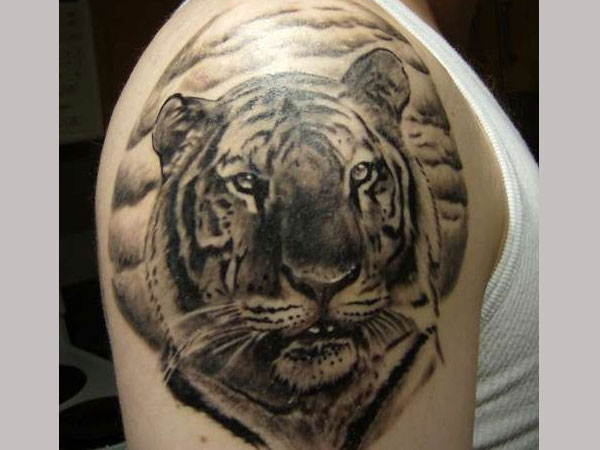 Black And Grey Tiger Head Tattoo On Right Shoulder