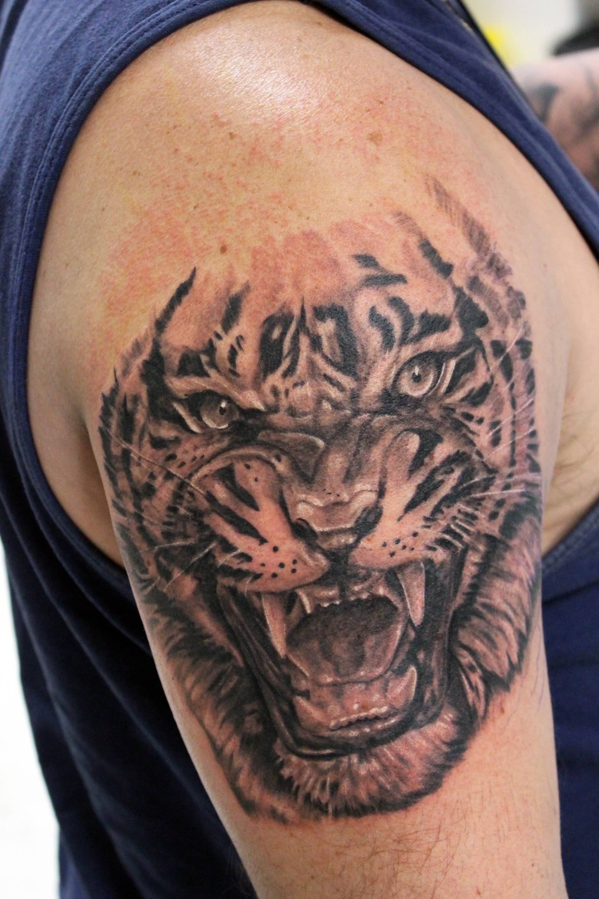 Black And Grey Tiger Head Tattoo on Right Shoulder For Men