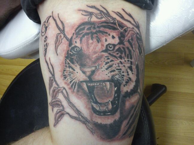 Black And Grey Tiger Tattoo On Bicep