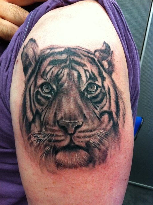 Black And Grey Tiger Tattoo On Shoulder