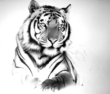 44+ Best White Tiger Tattoos Ideas With Meaning