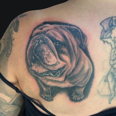 Black Ink Bulldog Tattoo On Women Left Back Shoulder By Mike Devries