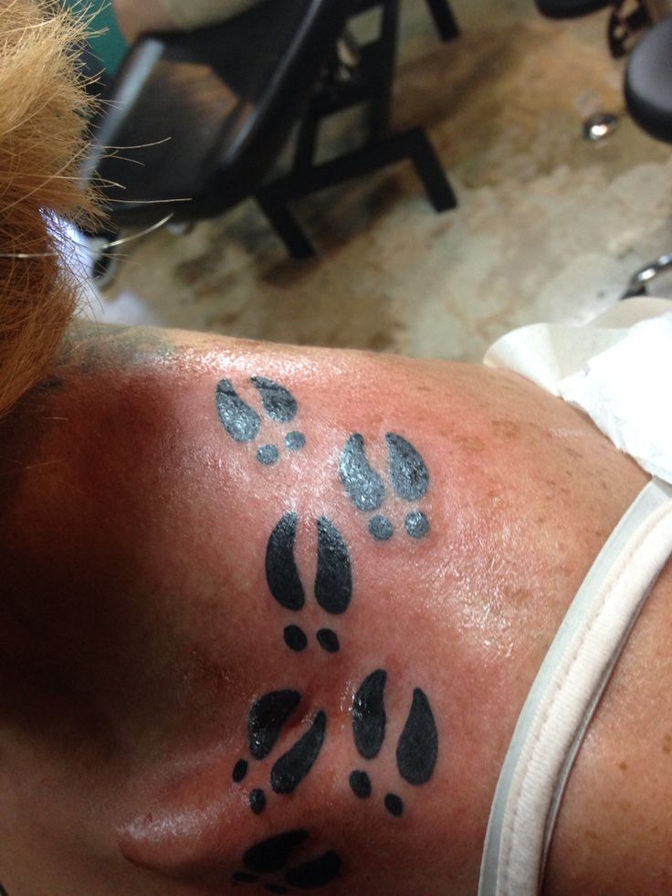 Black Ink Deer Track Tattoo On Front Shoulder
