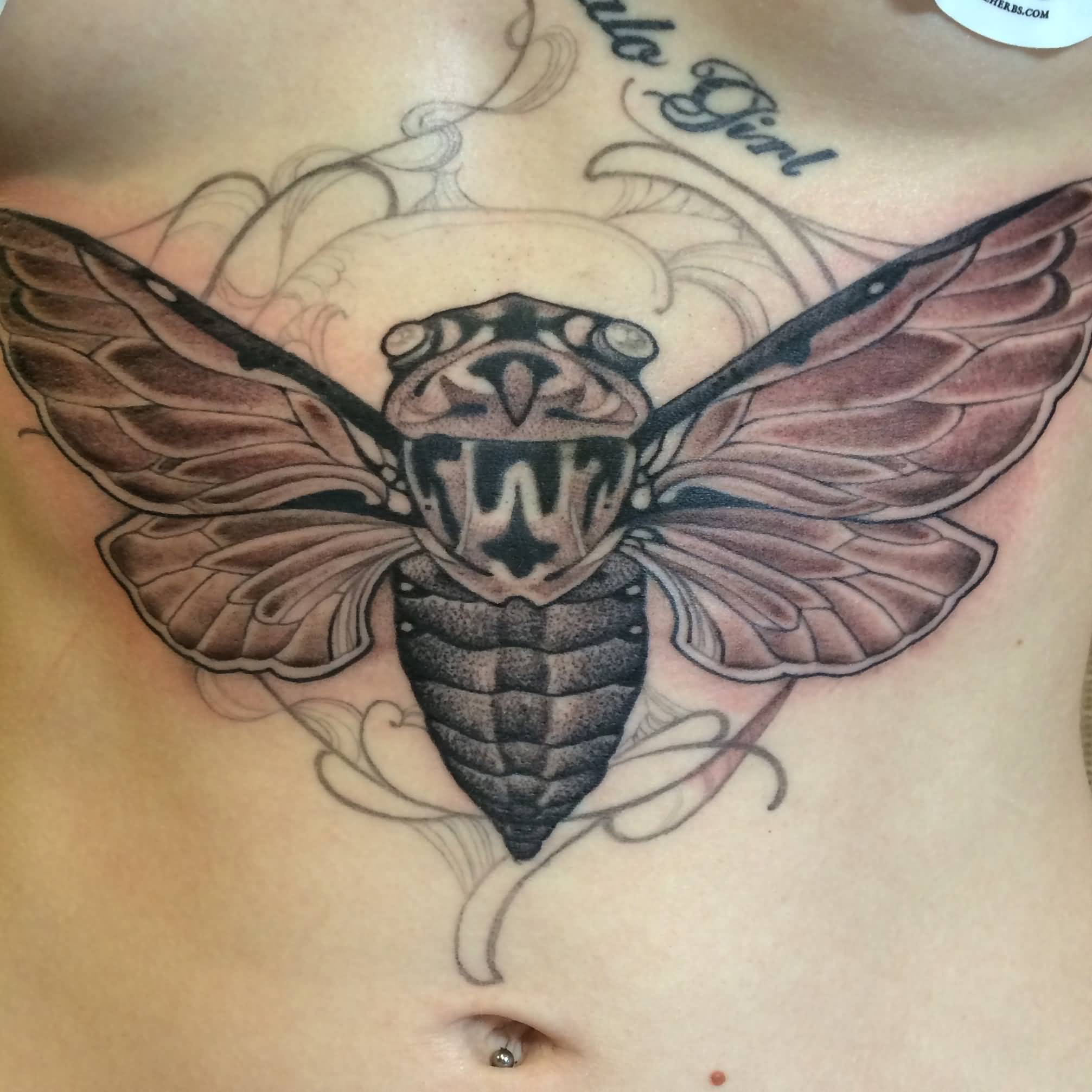 Black Ink Dotwork Butterfly Tattoo On Girl Stomach By Curtis Burgess