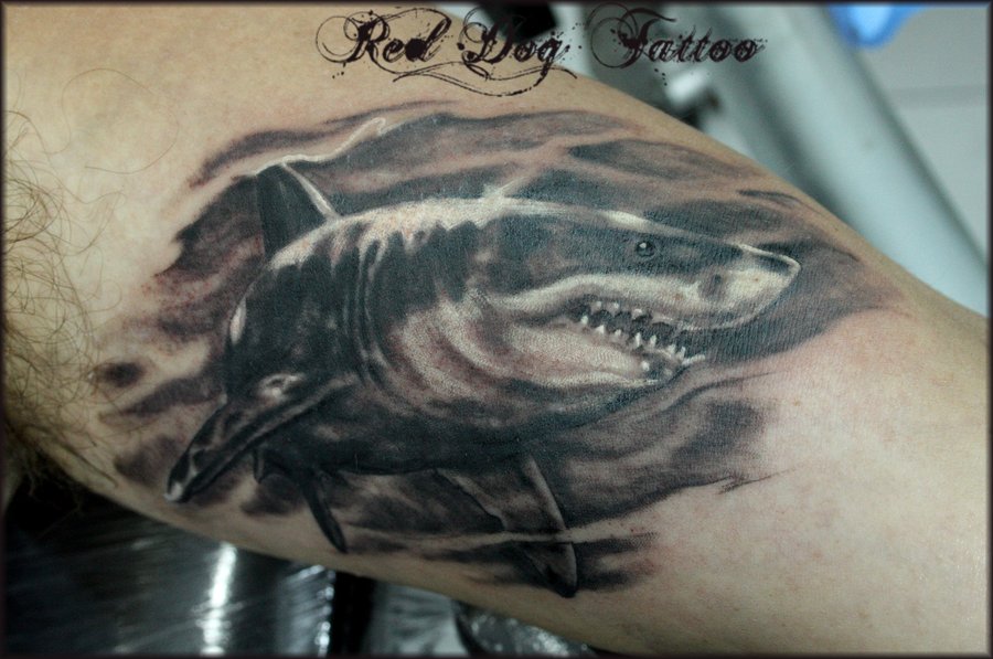 Black And Grey Shark Tattoo On Right Half Sleeve