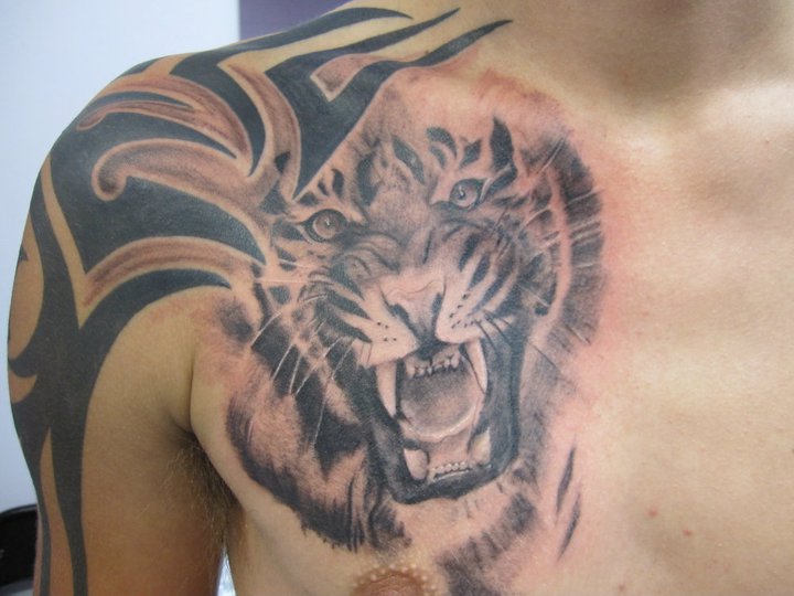 Black Tribal And Roaring Tiger Tattoo On Front Shoulder