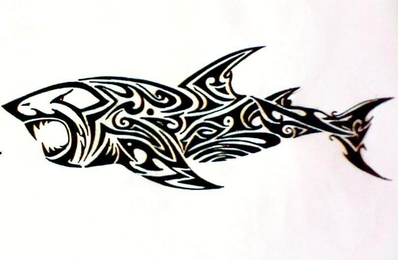Black Tribal Tiger Shark Tattoo Design