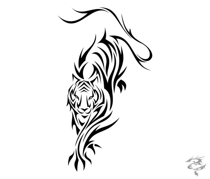 Black Tribal Tiger Tattoo Design Sample