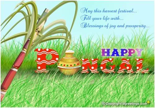 Blessings Of Joy And Prosperity Happy Pongal