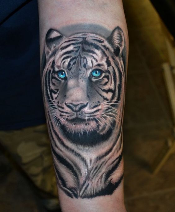 Blue Eyes Black And Grey Tiger Head Tattoo On Arm