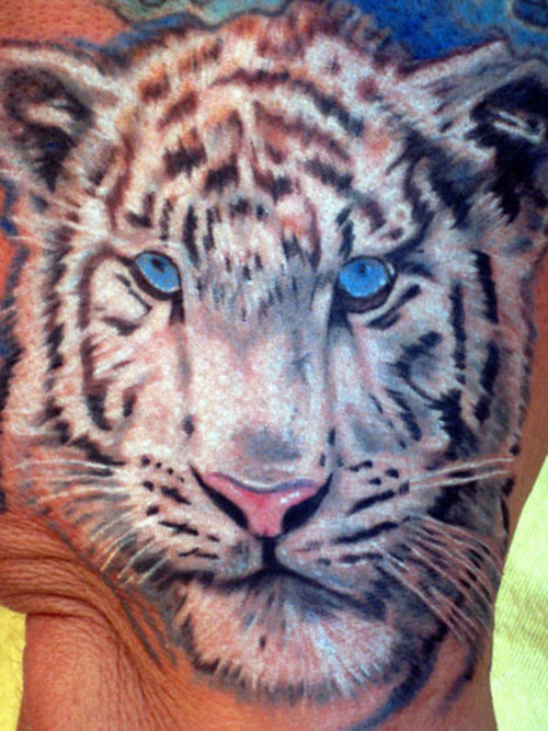 Blue Eyes White Tiger Face Tattoo