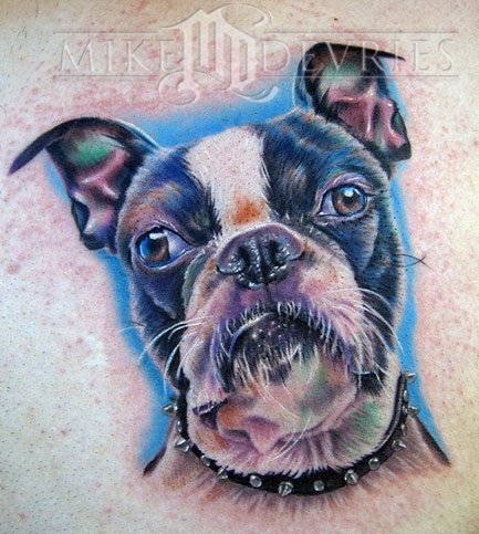 Boston Terrier Dog Head Tattoo Design By Mike Devries