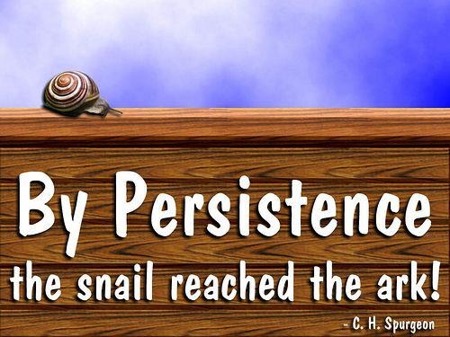 By persistence the snail reached the ark. C.H. Spurgeon