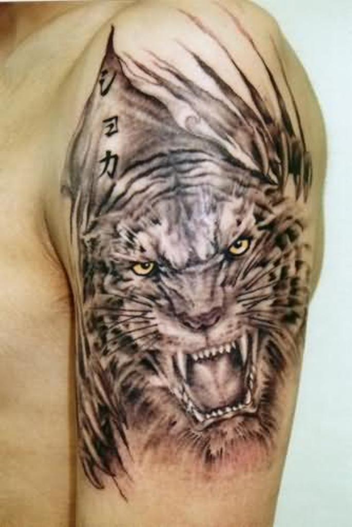 Chinese Symbols And Black And Grey Tiger Tattoo On Shoulder