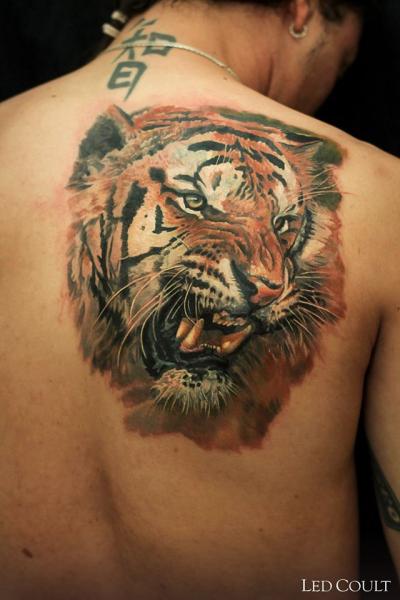 Chinese Symbols And Tiger Head Tattoo On Back
