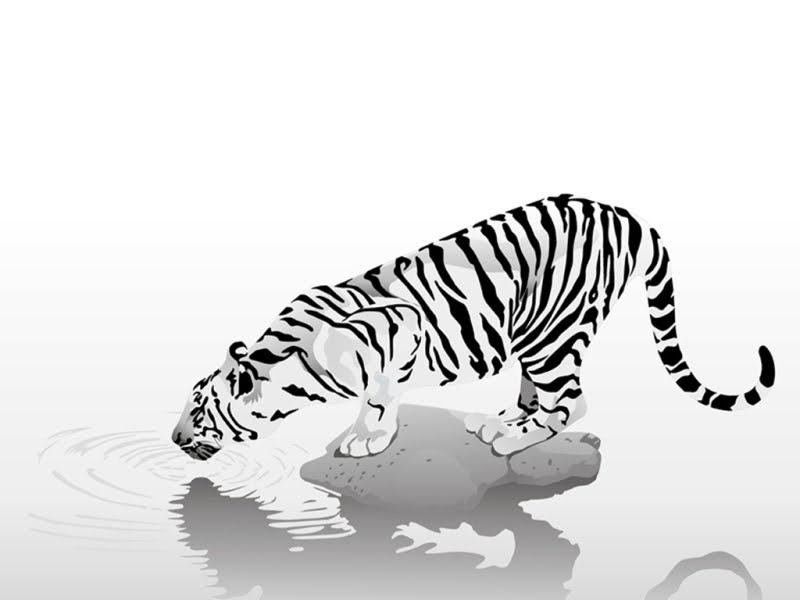 Chinese Tiger Drinking Water Tattoo Design