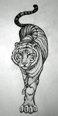 Chinese Tiger Tattoo Idea