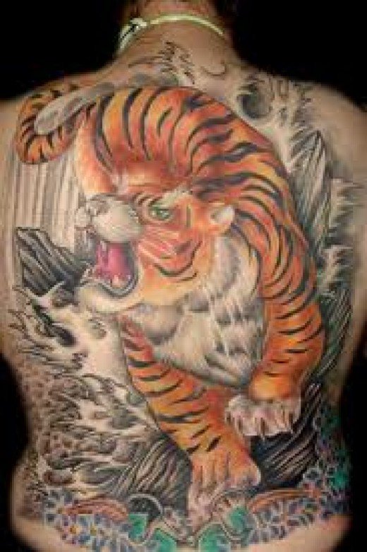 Chinese Tiger Tattoo On Full Back